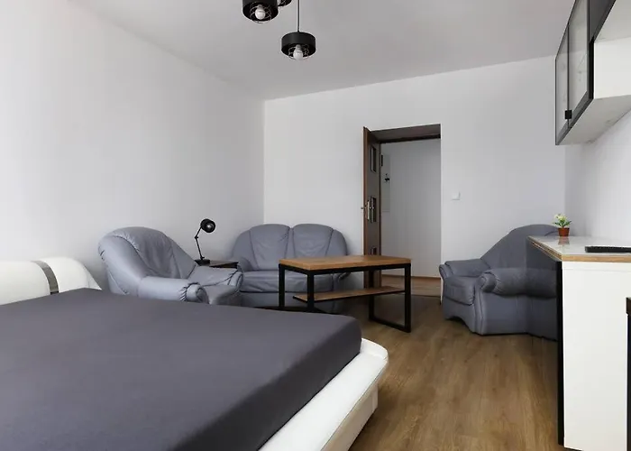 Przyjazny Apartament W Bedzinie