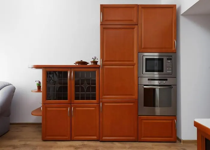 Przyjazny Apartament W Bedzinie