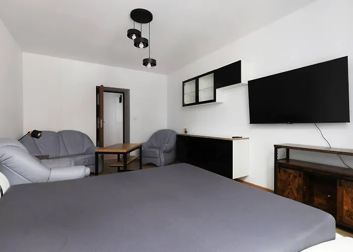 Przyjazny Apartament W Bedzinie