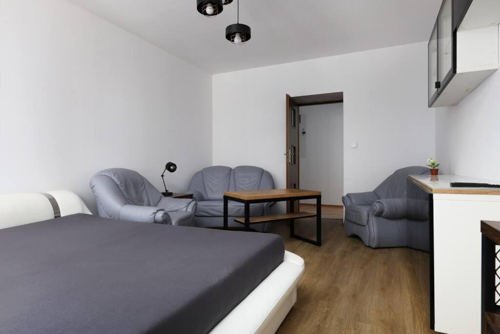Przyjazny W Bedzinie Apartment Bedzin