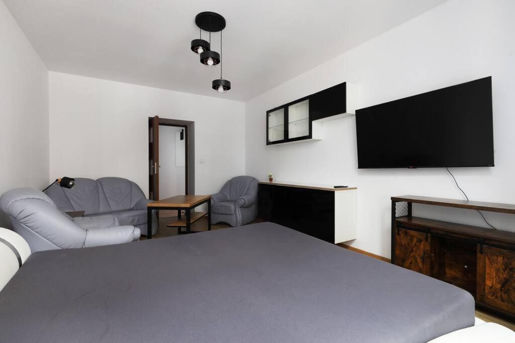 Przyjazny W Bedzinie Apartment Bedzin